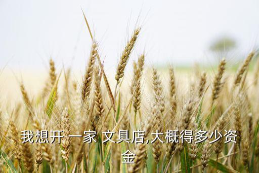 開一家文具店需要多少錢,開文具店投資少風(fēng)險低可自行動手制作