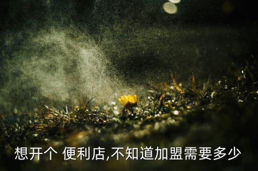 春天便利店加盟費(fèi)多少,美宜佳便利店加盟費(fèi)15-25萬(wàn)人民幣