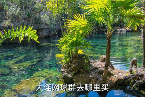 大連網(wǎng)球群去哪里買(mǎi)