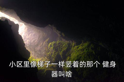  小區(qū)里像梯子一樣豎著的那個 健身器叫啥