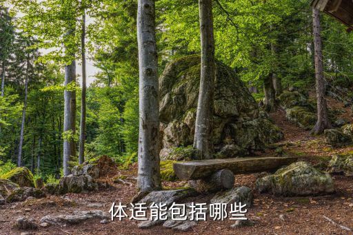 體適能,人體有足夠精力應(yīng)對日常工作和娛樂活動