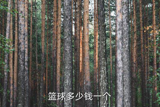正規(guī)體育用品要多少錢的,正宗足球不同品牌各有優(yōu)缺點(diǎn)