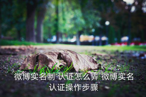 微博如何認證體育用品,點擊立即申請完成微博實名認證第一步