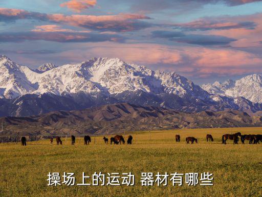 操場(chǎng)上的運(yùn)動(dòng) 器材有哪些