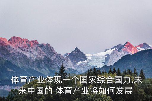  體育產(chǎn)業(yè)體現(xiàn)一個(gè)國家綜合國力,未來中國的 體育產(chǎn)業(yè)將如何發(fā)展