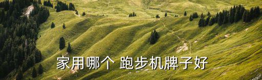 家用跑步機(jī)什么品牌的好,三款跑步手機(jī)獲選最值得購(gòu)買(mǎi)的品牌