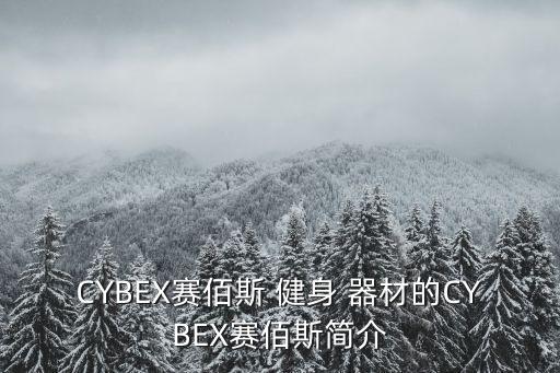 CYBEX賽佰斯 健身 器材的CYBEX賽佰斯簡(jiǎn)介