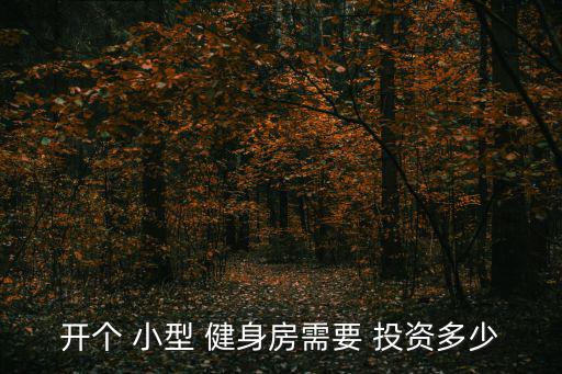 開個(gè) 小型 健身房需要 投資多少