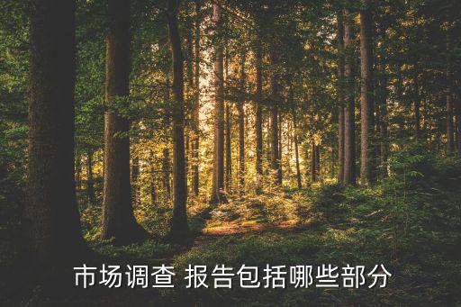 市場調(diào)查報(bào)告,實(shí)地調(diào)查報(bào)告一般包括三部分內(nèi)容