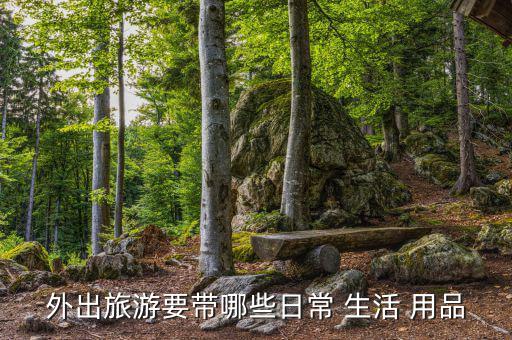 外出旅游要帶哪些日常 生活 用品