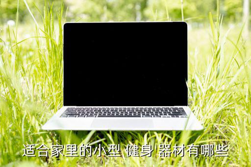 簡(jiǎn)易單雙杠健身器材,健身器材知多少?盤腰器你知道答案