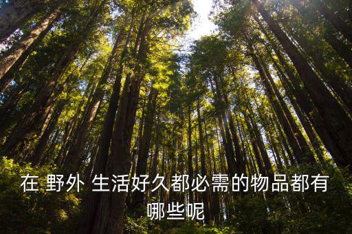 在 野外 生活好久都必需的物品都有哪些呢