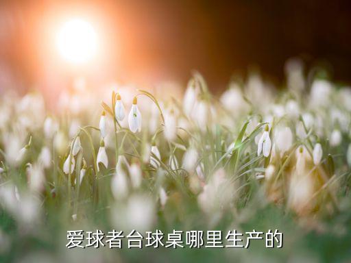 愛球者臺(tái)球桌哪里生產(chǎn)的