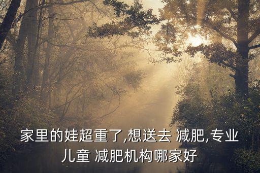 濟南市減肥訓練營排行榜,杭州少年減肥訓練營減肥模式創(chuàng)新