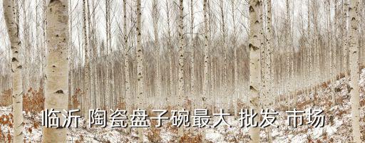天津陶瓷餐具批發(fā)市場(chǎng),唐山-2批發(fā)市場(chǎng)在北苑路中段