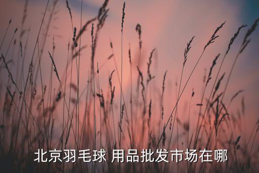 北京最大的體育用品店在哪里呢,乒乓球選材知多少?