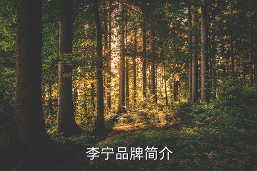 李寧品牌市場定位分析,李寧公司首席執(zhí)行官張志勇推出產(chǎn)品定位