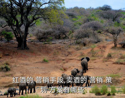 酒類營(yíng)銷策劃方案案例,紅酒知多少?問與答（18）