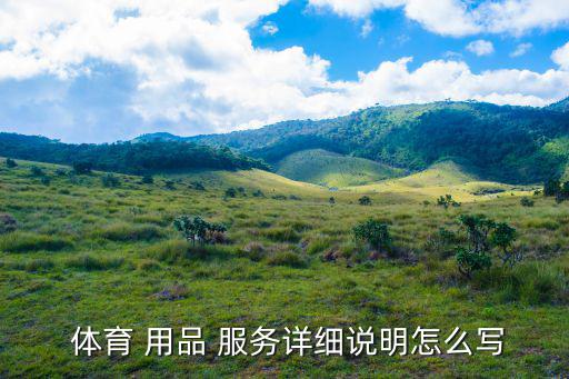  體育 用品 服務(wù)詳細(xì)說明怎么寫