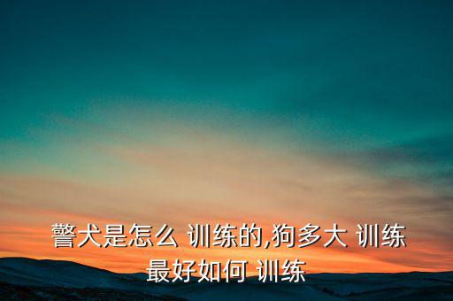  警犬是怎么 訓練的,狗多大 訓練最好如何 訓練