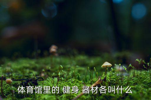 小區(qū)健身器材大全圖片,堅持運動和按摩有助預防肥胖