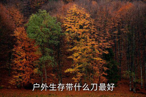 戶外防身啥工具最好使,長(zhǎng)時(shí)間呆在戶外防身新招!