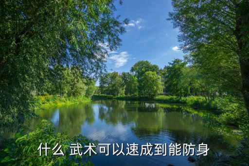 臨沂武術(shù)器材批發(fā)市場,臨沂有哪些大小商品?