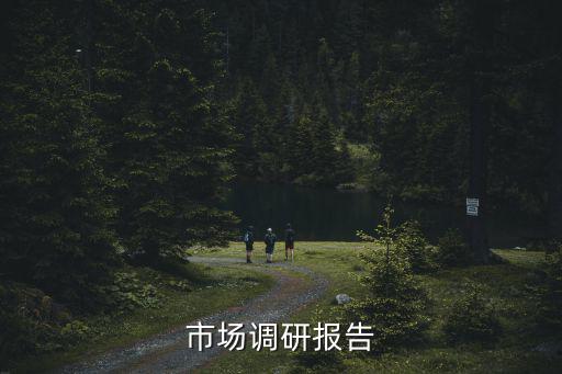 市場調(diào)研報告