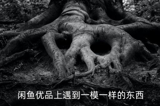  閑魚優(yōu)品上遇到一模一樣的東西
