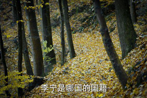 李寧體育用品是哪個(gè)國家的,李寧和中國李寧之別