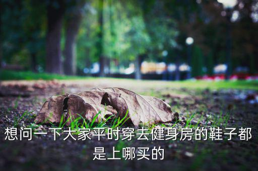 重慶體育用品哪里好買鞋,武漢市場上的中低檔鞋子價格比較低