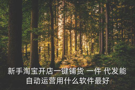 新手淘寶開店一鍵鋪貨 一件 代發(fā)能自動(dòng)運(yùn)營用什么軟件最好