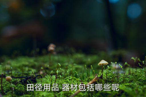 體育器材種類名稱,體育器材分類方法:比如田徑和球類