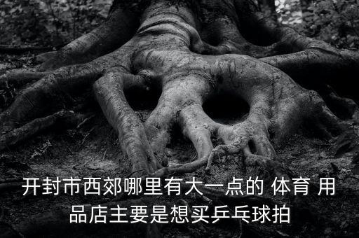 開封市西郊哪里有大一點(diǎn)的 體育 用品店主要是想買乒乓球拍