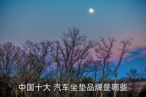 中國汽車用品網(wǎng),汽車后市場發(fā)展空間大嗎?專家給出五大建議