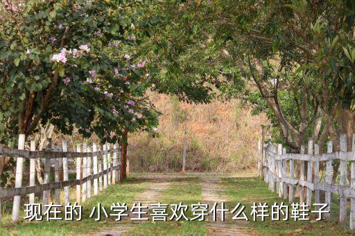 小學(xué)生喜歡什么體育用品,小學(xué)生趣味禮盒榜單出爐學(xué)生最愛!