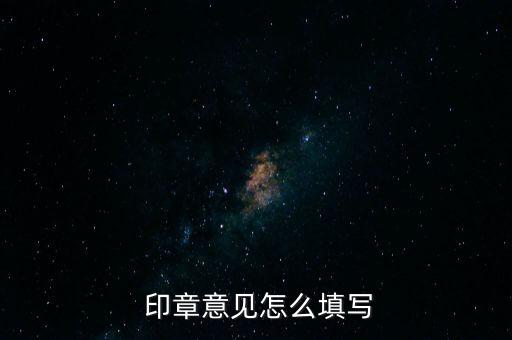  印章意見(jiàn)怎么填寫
