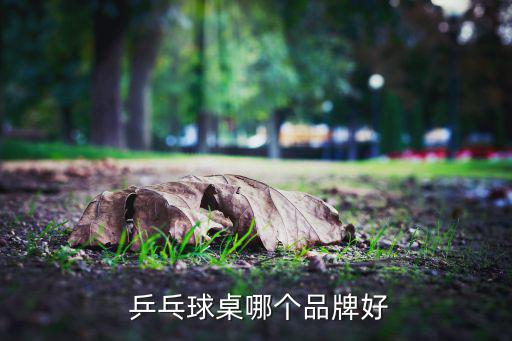  乒乓球桌哪個品牌好