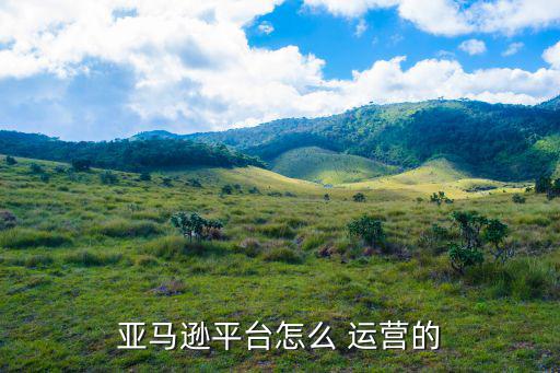 網(wǎng)店體育用品怎么運營,如何在網(wǎng)購平臺做好準(zhǔn)備?