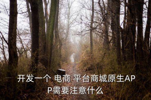 電商平臺(tái)開發(fā),電商平臺(tái)分四種模式開發(fā)網(wǎng)站要注意什么?