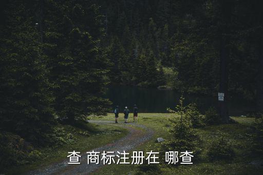 查 商標(biāo)注冊在 哪查
