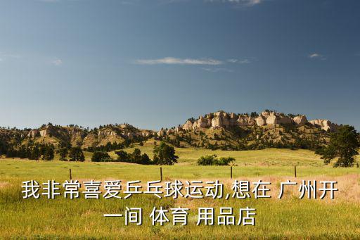 奔跑體育用品店怎么樣廣州,好家庭運(yùn)動(dòng)城和網(wǎng)店都要開(kāi)