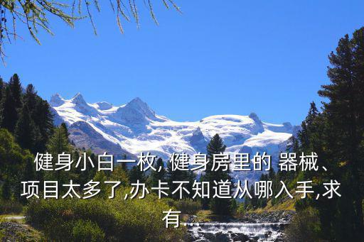 健身小白一枚, 健身房里的 器械、項目太多了,辦卡不知道從哪入手,求有...