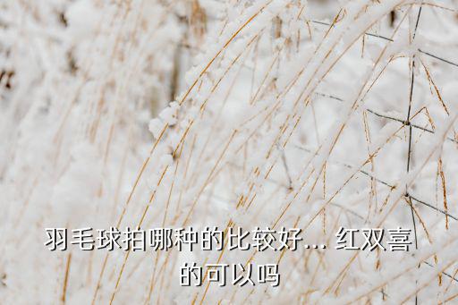 紅雙喜體育用品質(zhì)量怎么樣,網(wǎng)購雙喜羽毛球拍要謹(jǐn)慎!