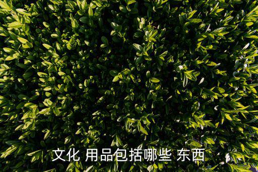 體育用品包含什么東西,28類商標查詢包括體育用品和文具用品