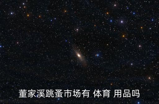 董家溪跳蚤市場有 體育 用品嗎
