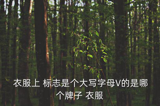  衣服上 標志是個大寫字母V的是哪個牌子 衣服