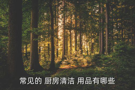 常見的 廚房清潔 用品有哪些