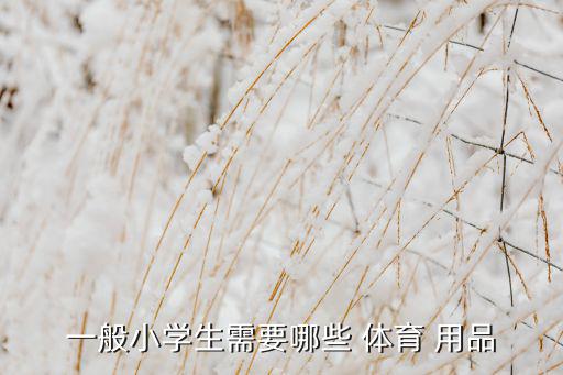 一般小學(xué)生需要哪些 體育 用品