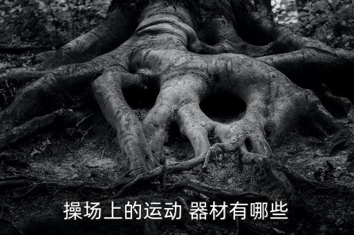 校園體育器材有哪些名稱,戶外健身器材包括手爪、臂力器等